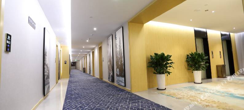 平阳隆盛大酒店(海西万洋广场店)图片