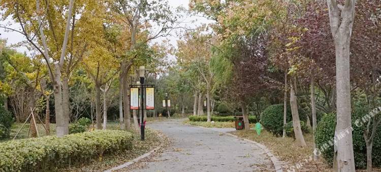 骏怡精选酒店(射阳振阳街店)图片