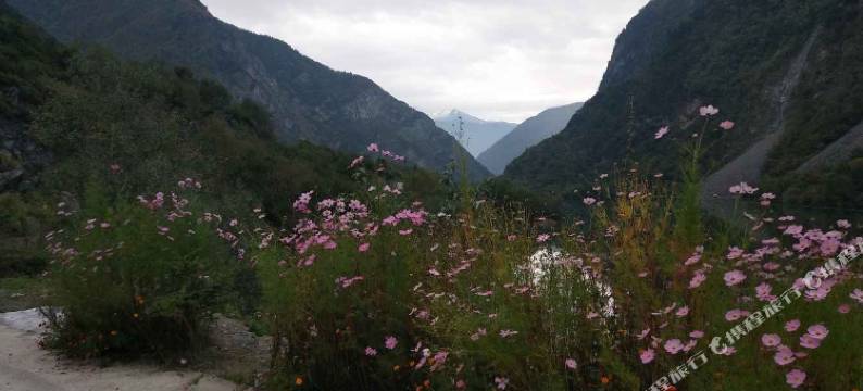 松坪沟汕荟林园客栈图片