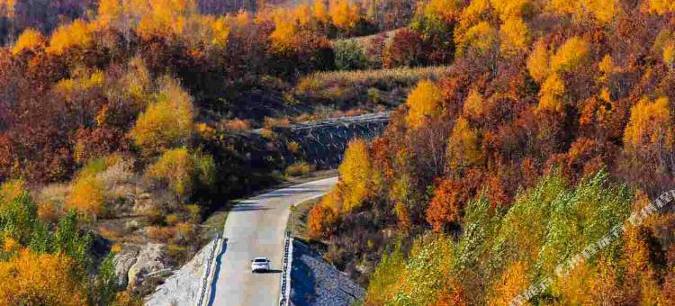 汤旺河白桦林旅馆图片