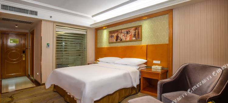 维也纳酒店(阳朔印象店)图片