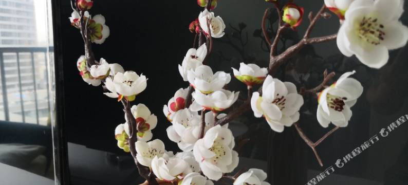 轻住·太原枫尚公寓图片