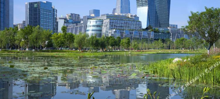 成都世纪城天堂洲际大饭店图片