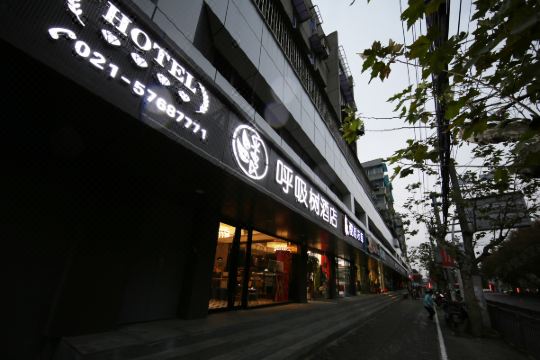 呼吸树酒店上海新华医院店