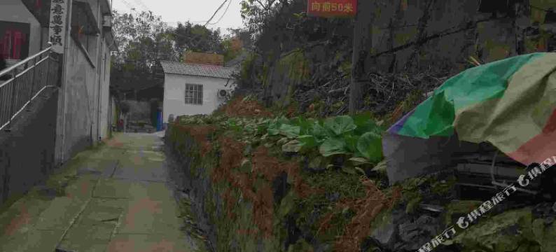 东至梅林山庄图片