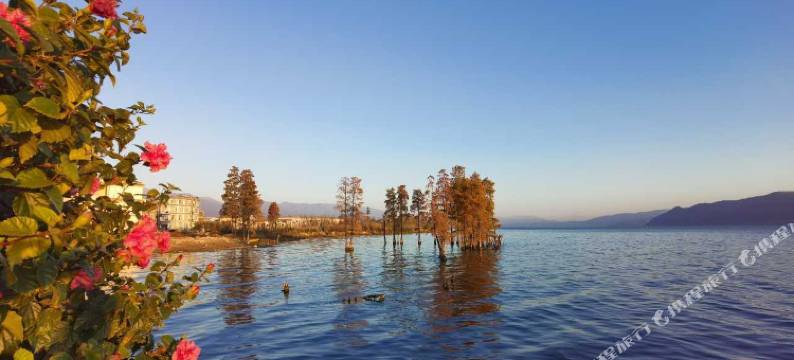 大理丰呈别院(龙龛码头店)图片