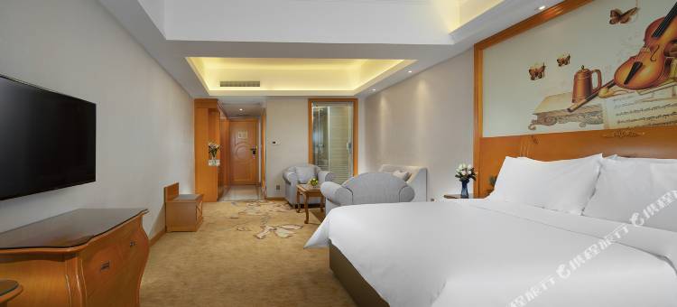 维也纳酒店(湘潭板塘步步高店)图片