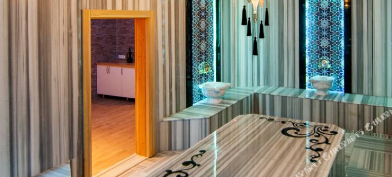 艾克塞兰斯水疗酒店(Exelans Hotel)图片