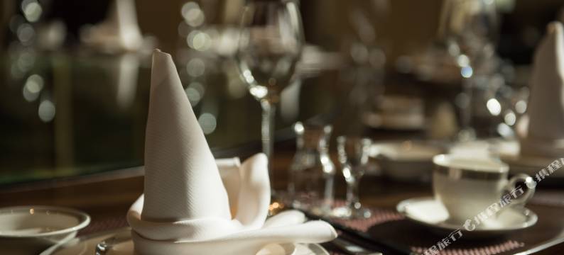 天津国家会展中心津园宾馆图片