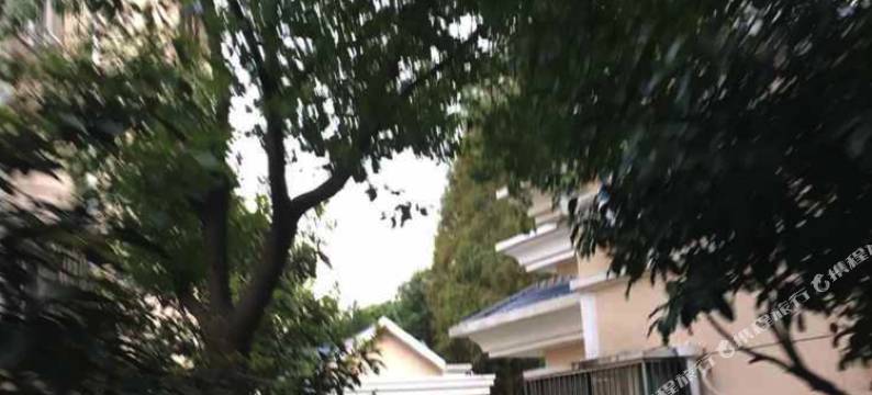 青年白领青旅(上海中佳路店)图片