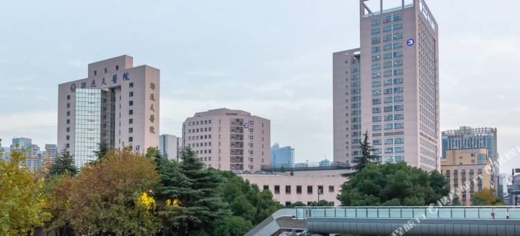 杭州途掌柜绿萍精品民宿图片