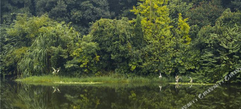 益阳碧桂园凤悦凤凰酒店图片