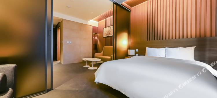 世宗城五松酒店(Sejong City Osong Hotel)图片
