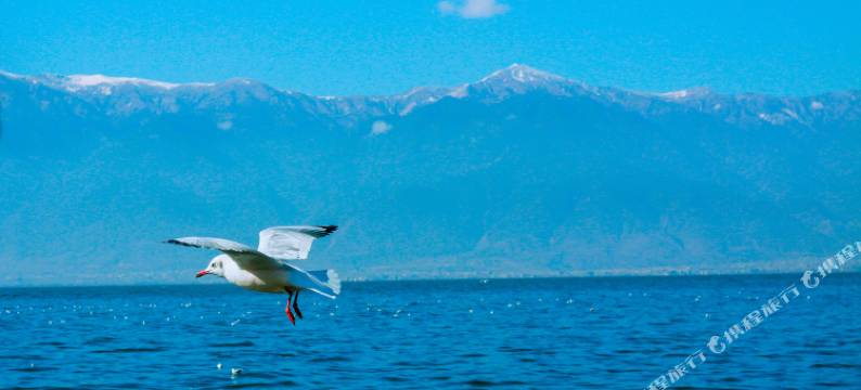 大理新环球酒店图片