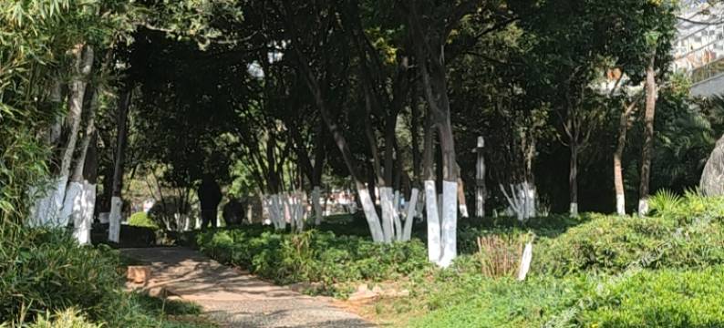 昆明莫兰迪酒店图片