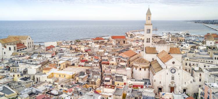 卡尔杜奇罗马纳齐美美居别墅酒店(Mercure Villa Romanazzi Carducci Bari)图片