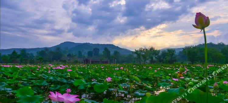 大悟金岭颜回书院酒店图片