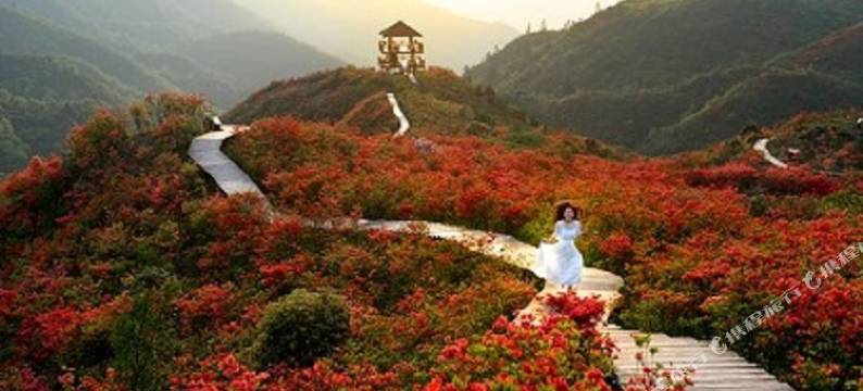 浏阳海云阁酒店(天虹购物中心店)图片