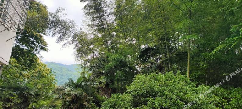 吉安竹林枫农家院民宿图片