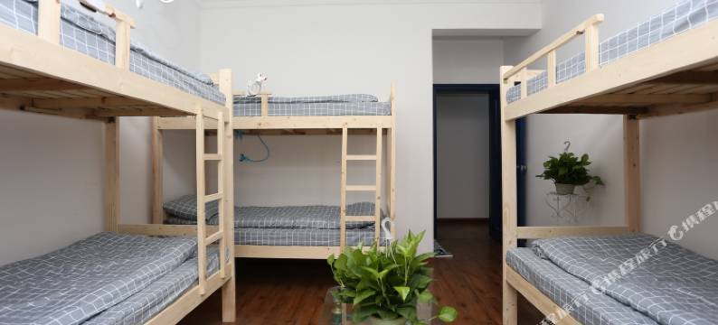 成都风马青年旅舍图片