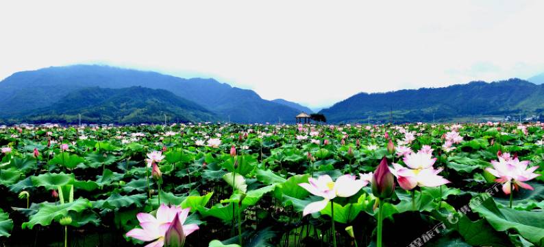 武夷山木屋民宿图片
