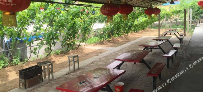 中卫金色沙坡图片