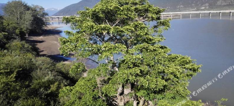 林芝川藏线标间旅社图片