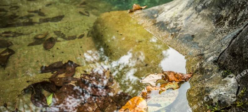 峨眉山蓬莱别墅酒店图片