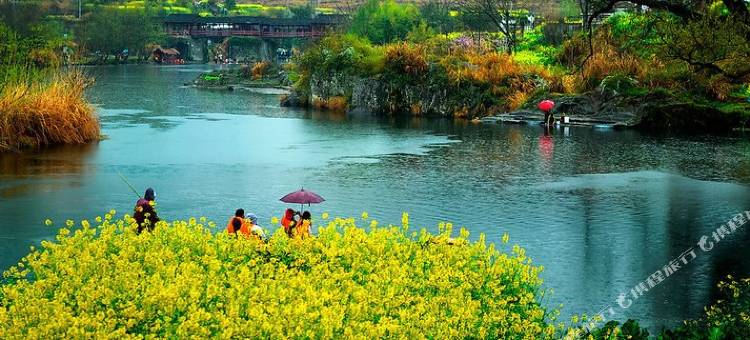 婺源鲍老师客栈图片