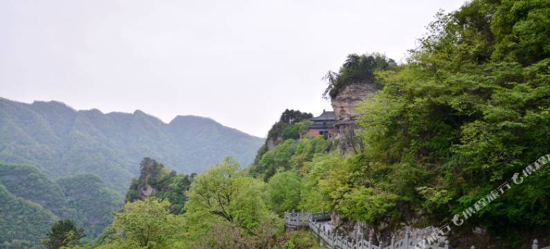 武当大酒店图片
