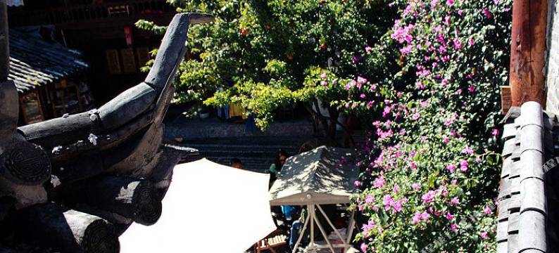 香格里拉月光客栈图片