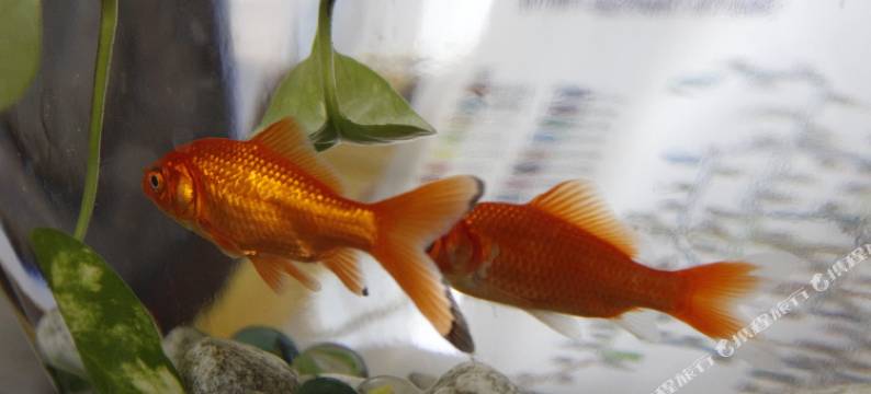 北京新宇桥宾馆图片