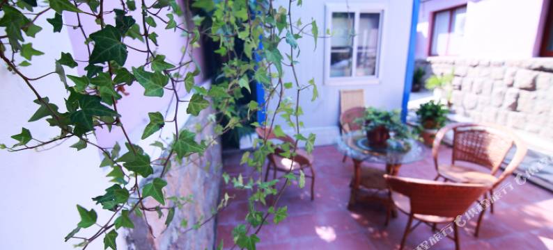 青岛九号丙青年旅舍图片