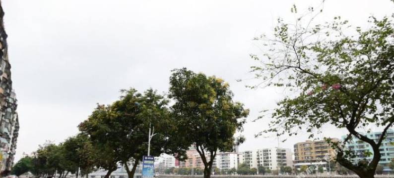 开平星都大酒店图片