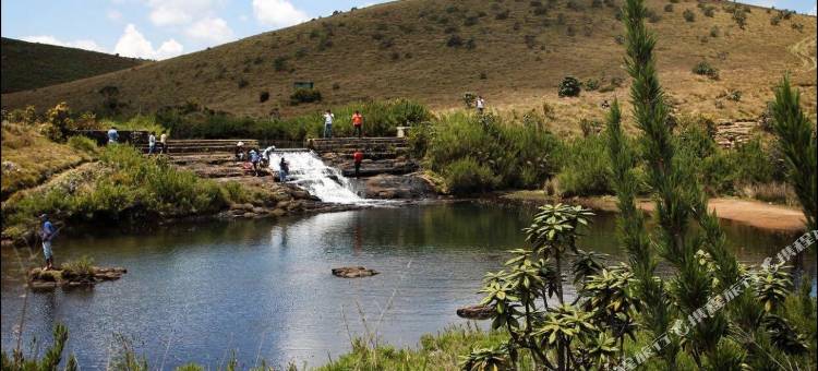 奥克雷夏山微风酒店(Oak Ray Summer Hill Breeze)图片