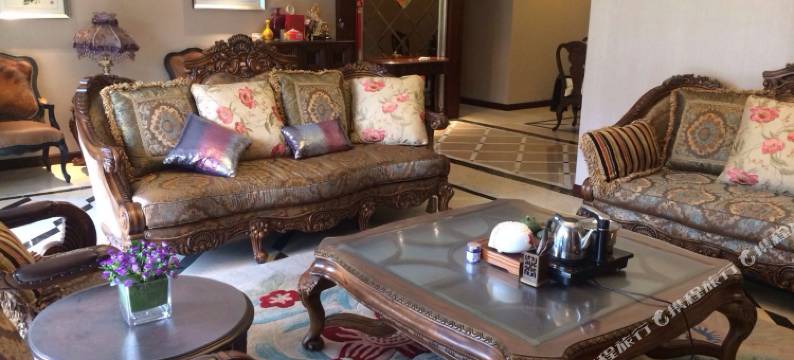 成都精装公寓图片