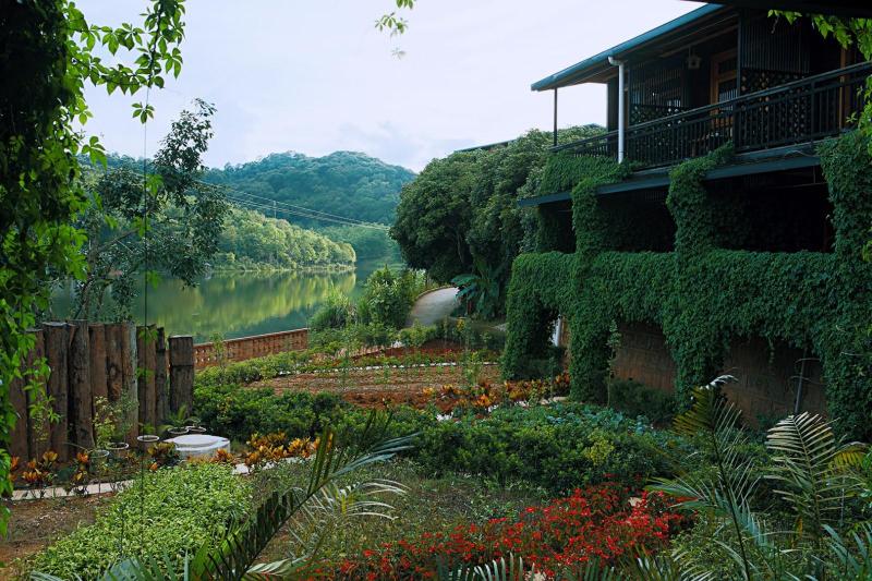 Yinsheng Tea Manor Over view