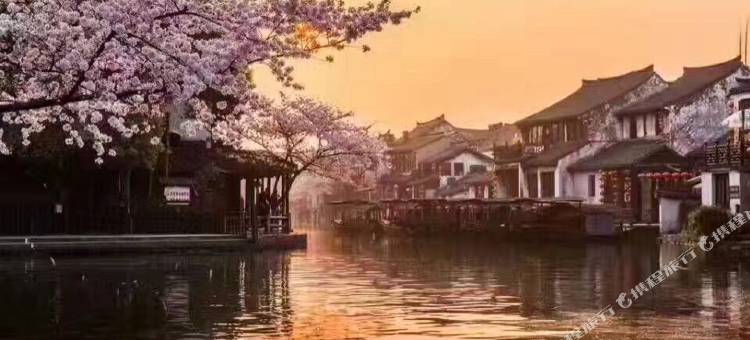 久栖·西塘刘家大院精品酒店图片