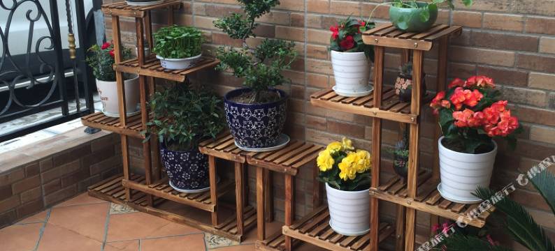 朱家尖好好的家民宿图片