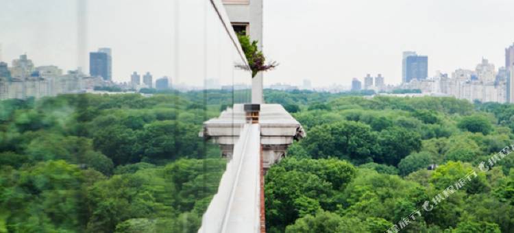 纽约奎因俱乐部希尔顿酒店(Hilton Club the Quin New York)图片