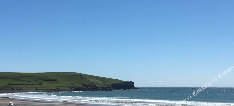 诺亚酒店(Noah's Stanley Luxury Bed and Breakfast)图片