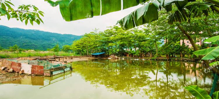 巴巴兔·Yan巢民宿(长隆旅游度假区店)图片