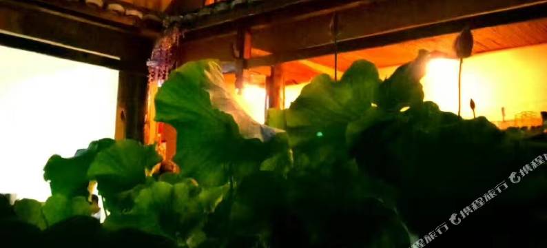 普者黑静舒客栈图片