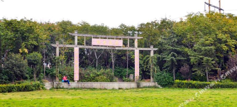 洛阳银杏仙庄图片