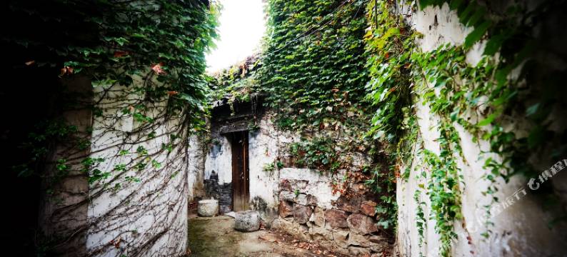 巷云阁(苏州东山陆巷古村店)图片