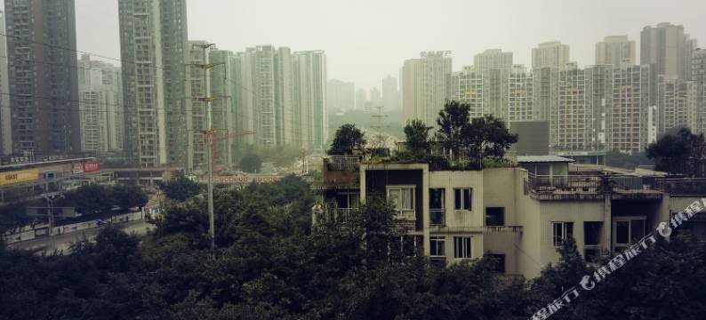 重庆LOVE旅行阳光绿植客栈图片