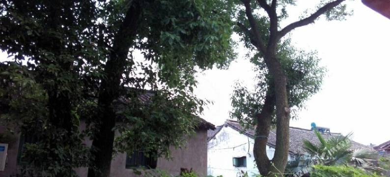 西塘鑫悦湾客栈图片