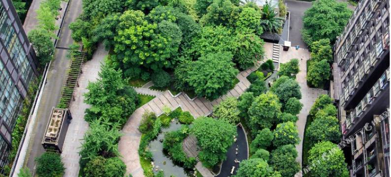 成都Princess慵懒小屋图片