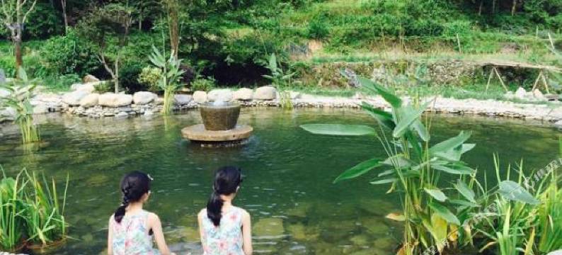 景宁听泉山庄图片