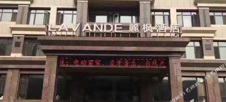 麗枫酒店(庄河向阳路店)图片